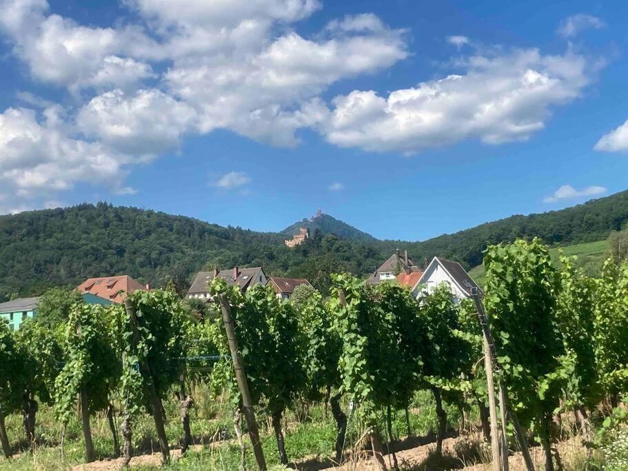 Le Belvedere Alsacien Sélestat Exteriör bild